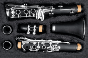 How to Assemble a Clarinet and Clarinet Mouthpiece - Clarinet Expert