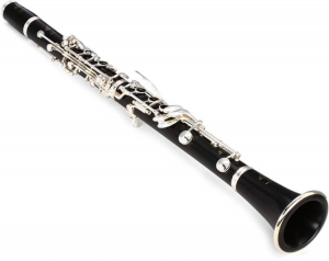 The 10 Most Expensive Clarinets In The World - Clarinet Expert