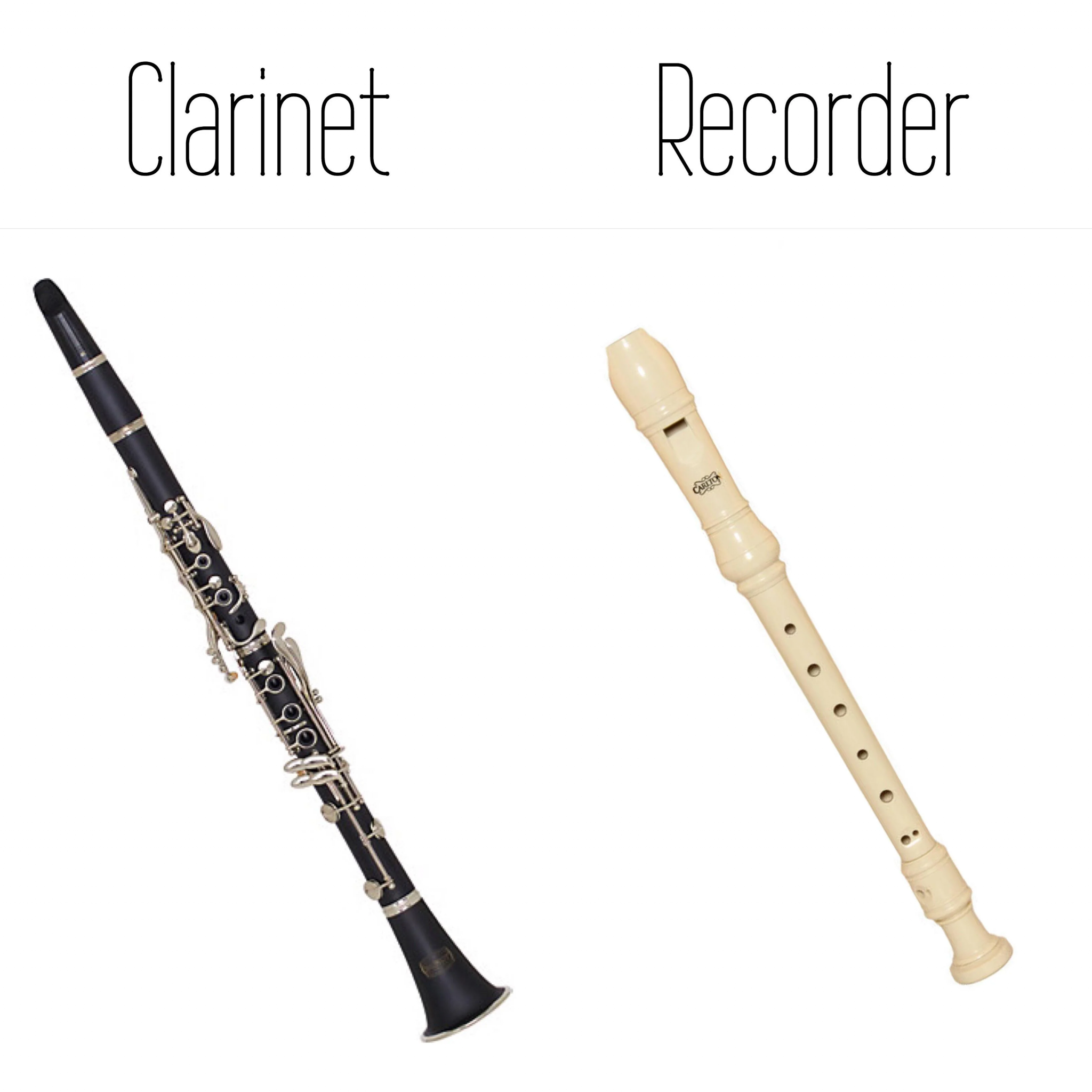 Vs Recorder which is harder to play? Expert