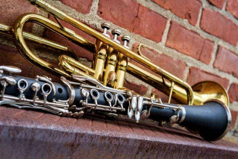 Trumpet Vs. Which one is more versatile? Expert