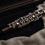 Oboe with a double reed resting in its case
